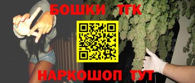 индика Пугачёв